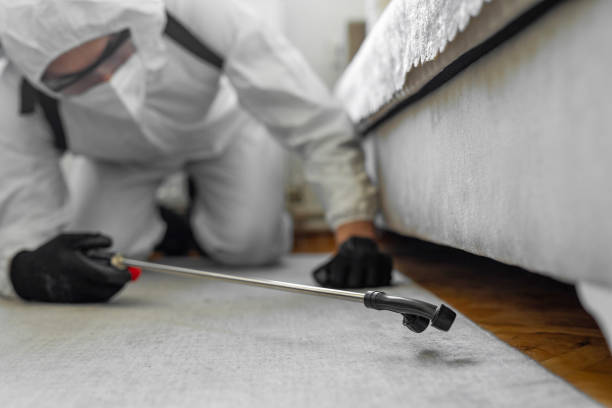 Professional Cockroach Control technician working in Bedford, TX